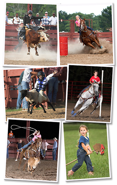 Image Samples
